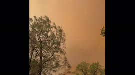 US: Fast-Growing Fawn Fire Prompts Evacuations In Northern California 3