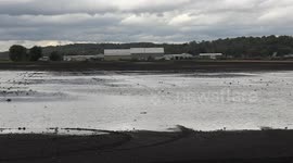 Crop fields flooded in Ontario, Canada, at harvest time after epic rainfall event