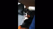 temp