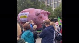 Big pig at Climate Strike in Hannover, Germany