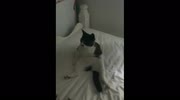 temp