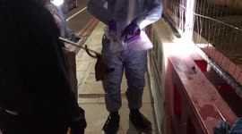 Sabina Nessa murder: Teacher attacked in park during five-minute walk to the pub