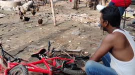 Lovely duks has followed the voice instruction from owner