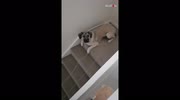 temp