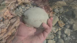Re-upload to fix sound: YouTuber uncovers 12-million-year-old crab fossil encased in rock