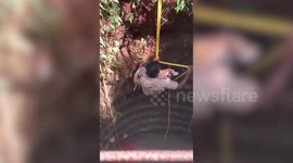 Dog rescued after spending 2 days trapped down well in southern India