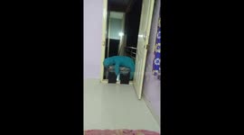 Jumping like there's no Tomorrow Mia she's the best gift from God