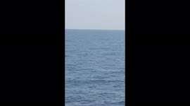 Beautiful Fin whale off the Catalonian coast, Catalonia, Spain