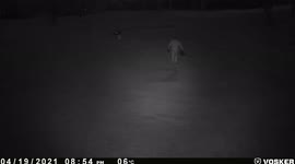 Disgruntled golfer pours weed killer over golf course causing £16,000 worth of damage