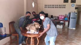 Poor fisherman finds ambergris whale vomit ‘worth more than $1m’ floating in sea in Thailand