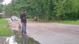 Rescuers save pit bull terrier trapped in sewer after storm in Thailand