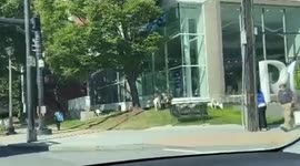 Chaos as over 30 goats take over Atlanta district