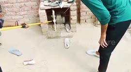 Indian rat snake gets rescued from residential premises in northern India