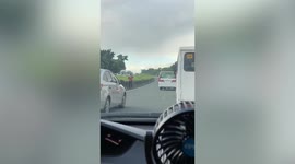 Pet dog rescued after wandering into traffic on Philippine expressway