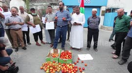 Palestinian farmers take part in protest against new trade restrictions from Israeli authorities