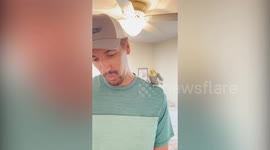 Meet the jealous pet parrot who HATES his owner's boyfriend