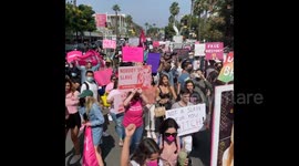 Free Britney Protest in Los Angeles, California
