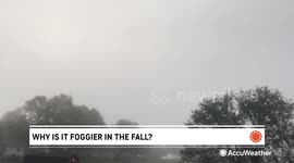 Why is fog so common in the fall?