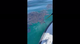 Thick oil blankets waters off coast of southern California after spill