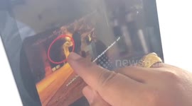 Police hunt OnlyFans couple who sparked outrage with outdoor sex against sacred tree