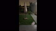 temp