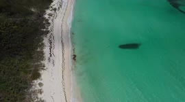 Vertical Blue Bahamas 2021 - Daily Highlights