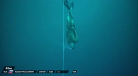Watch this freediver reach depths of over 100 metres, smashing world record