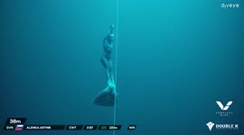 Freediver sets world record with stunning 120-metre-deep effort