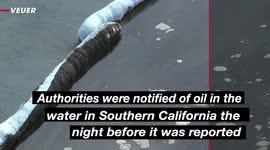 California Officials May Have Known About the Oil Spill 10 Hours Before It Was Reported