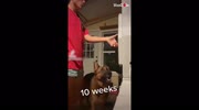 temp
