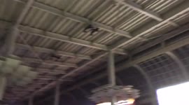 Japan: Strong M6.1 Earthquake Shakes Tokyo Area, No Tsunami Danger 2