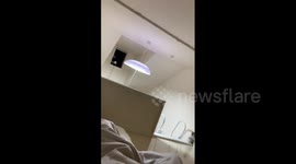 Japan: Strong M6.1 Earthquake Shakes Tokyo Area, No Tsunami Danger 4