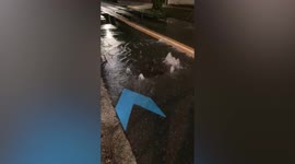 Burst pipe floods Tokyo street after Japan earthquake