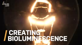 MIT Researchers Develop Glow-In-the-Dark Plants