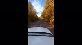 Into the Woods we go! Enjoying the Magnificant  Colours of Canada in the Fall