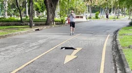 Lazy cat relaxes on the middle of park's exercise running track