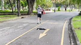 Lazy cat relaxes on the middle of park's exercise running track in Thailand