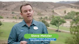 See Eric the Black Rhino’s Trip to Tanzania