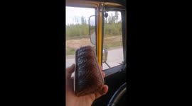 The bear asks the drivers on the road for delicious food.