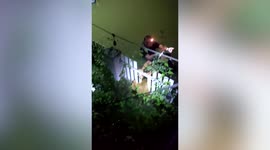 Stray dog rescued after its head is stuck in fence during flood