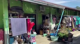 Giant python caught in terrified couple’s toilet in Thailand