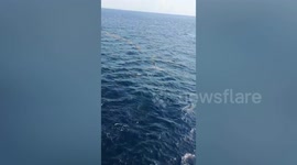 Fishermen floating at sea for one night rescued in the Philippines