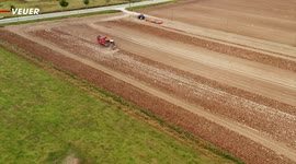 Extreme Weather Conditions Around the World Is Making Food More Expensive in the U.S.