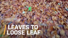 Leaves To Loose Leaf: How One Student Is Turning Fallen Leaves Into Paper To Save The Environment