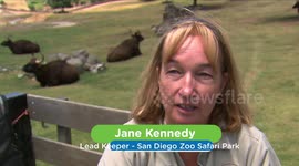 What It’s Like to Work With Animals 24/7 as a Keeper