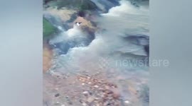 Kind animal lover rescues kitten abandoned in river in the Philippines