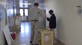 Veterinarians Perform a Quarantine Exam on a Clouded Leopard
