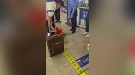 Controversy as Chinese man kills live crabs after not being allowed to take them on train