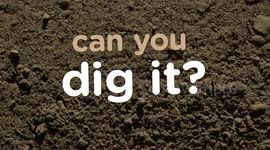 Can You Dig It? The Aardvark is Like a Hodgepodge of Other Animals