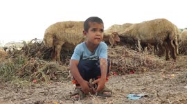 The economic crisis in the Gaza Strip and its political repercussions